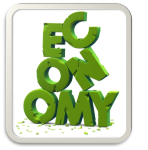 Foreclosure and the Economy1